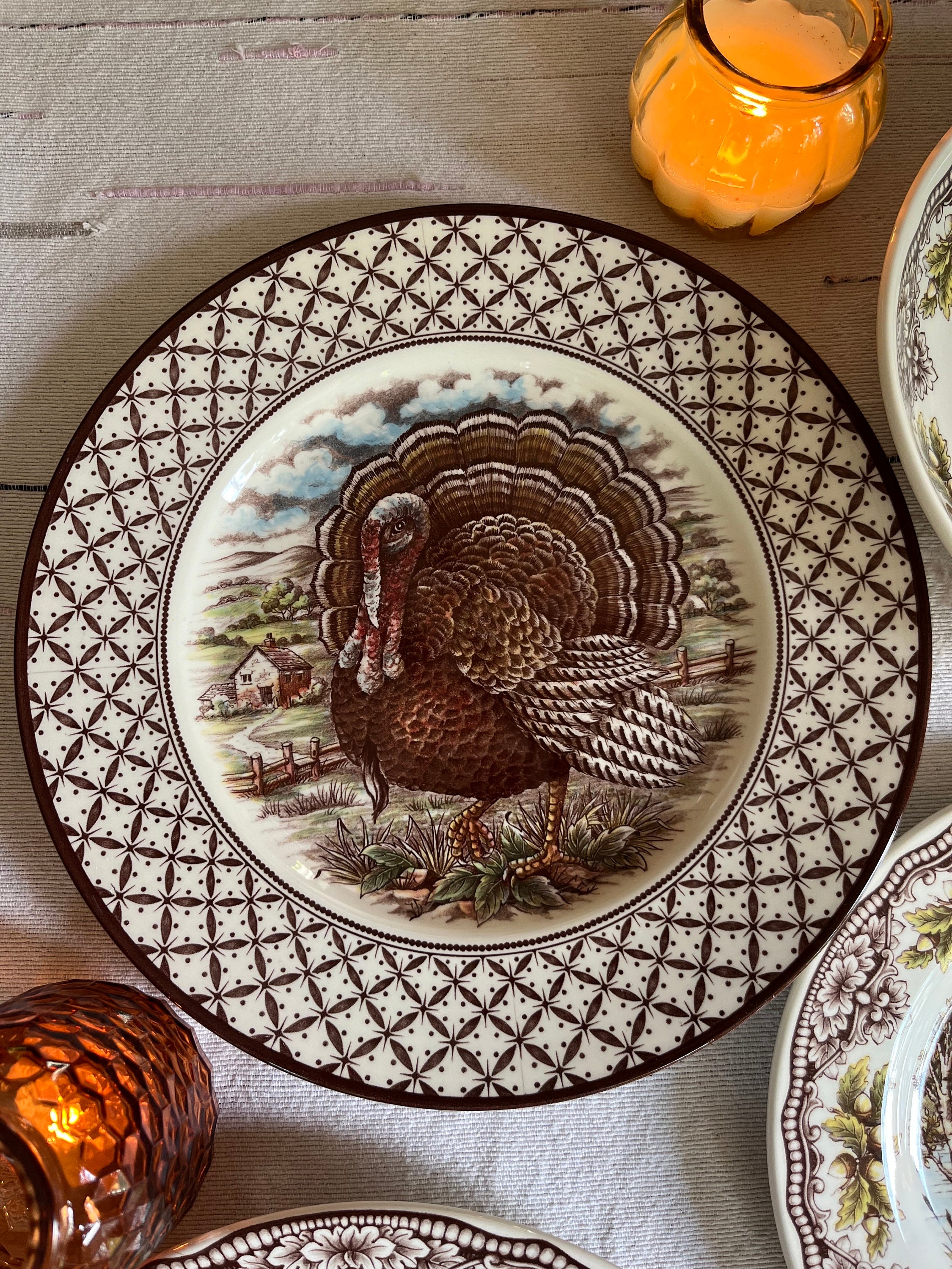 New Transferware Fall Thanksgiving Theme - Dinner Plates 11” - Chantilly Royal Stafford - Made in England, detail view 1