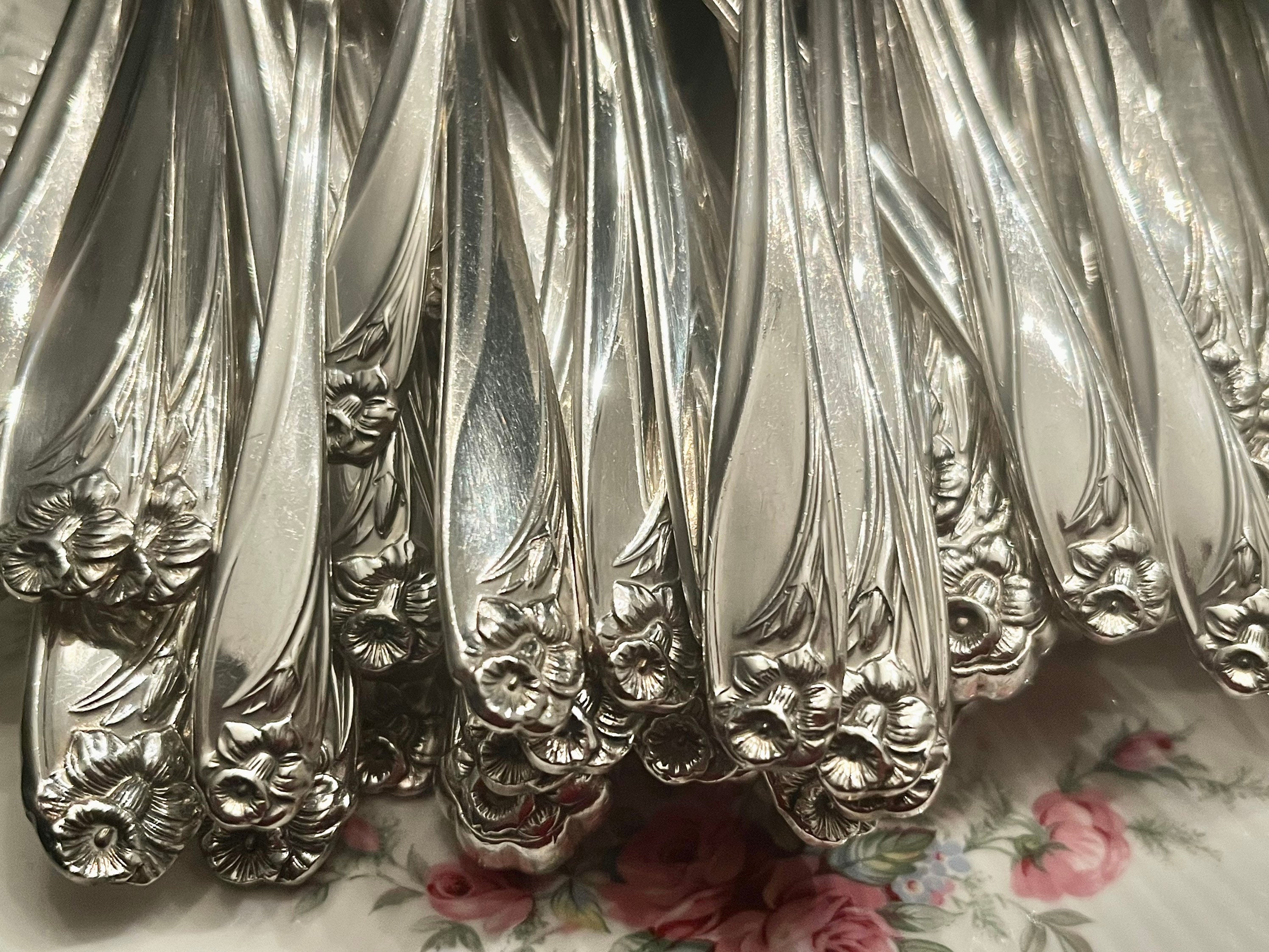 Vintage 1847 Rogers Bros Silver Plated “Daffodil” - Custom Silverware Sets for 12 Persons, front view