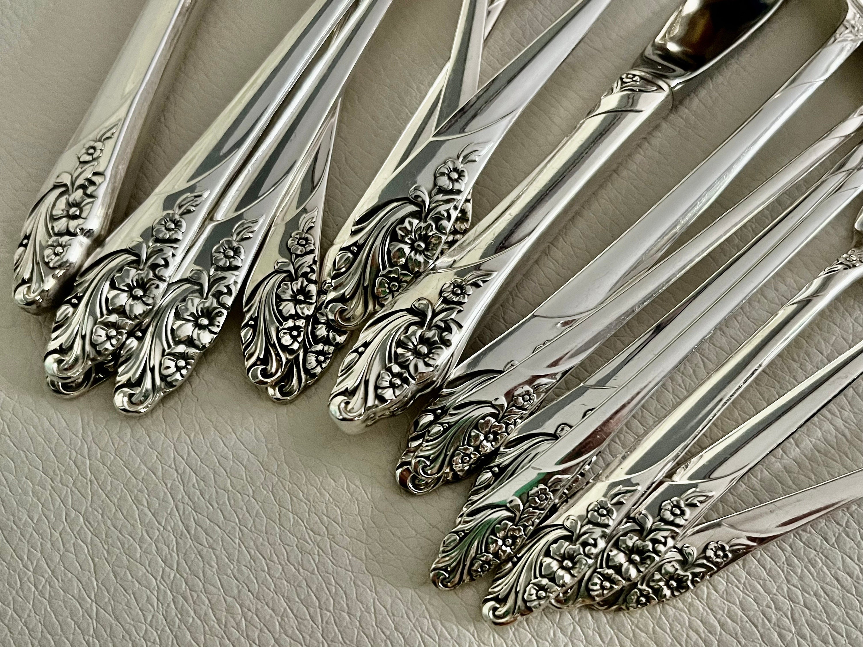 Vintage Evening Star Complete Silverware Set for 6 or 12 Persons, front view