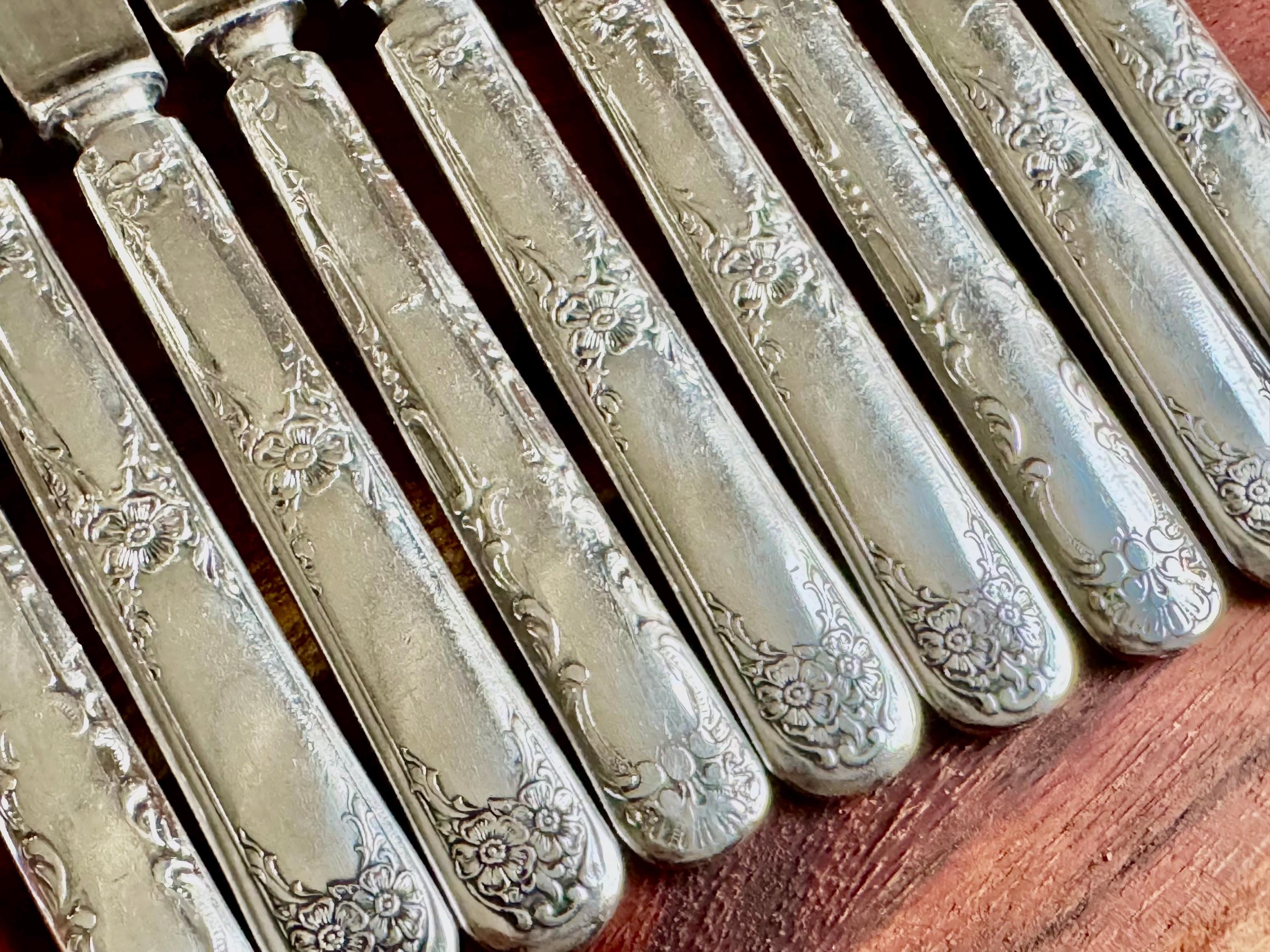 Vintage Wm. Rogers Silverplate Fruit or Butter Knives – Set of 9 – Floral Handles, front view