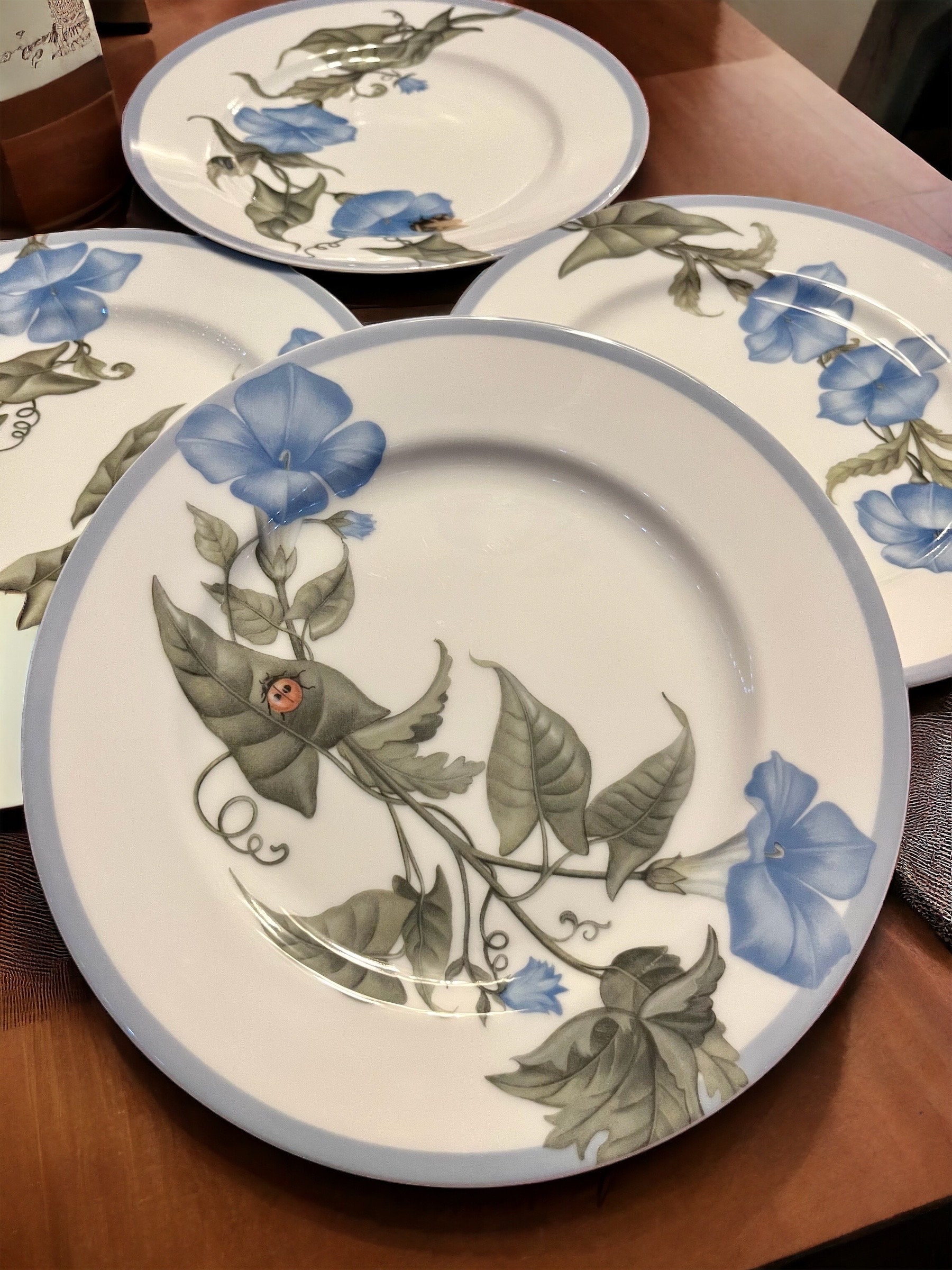 Williams-Sonoma - Set of 4 Salad Plates 8” Spring Blue Flowers & Bugs - Made in Japan, detail view 1